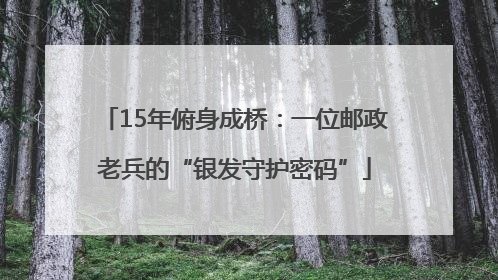 15年俯身成桥：一位邮政老兵的“银发守护密码”