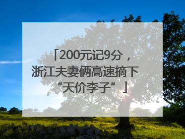 200元记9分，浙江夫妻俩高速摘下“天价李子”