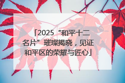 2025“和平十二名片”璀璨揭晓，见证和平区的荣耀与匠心