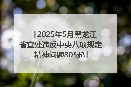 2025年5月黑龙江省查处违反中央八项规定精神问题805起