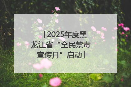 2025年度黑龙江省“全民禁毒宣传月”启动