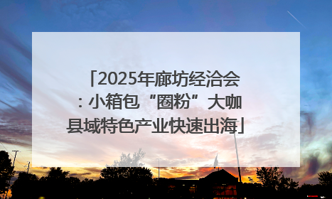 2025年廊坊经洽会：小箱包“圈粉”大咖 县域特色产业快速出海