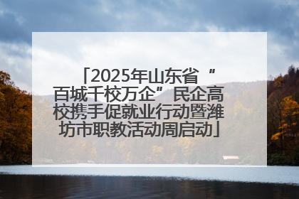 2025年山东省“百城千校万企”民企高校携手促就业行动暨潍坊市职教活动周启动