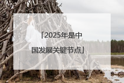 2025年是中国发展关键节点