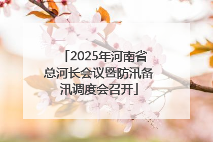 2025年河南省总河长会议暨防汛备汛调度会召开