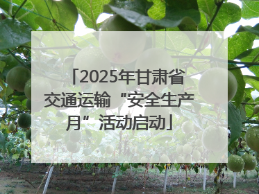 2025年甘肃省交通运输“安全生产月”活动启动