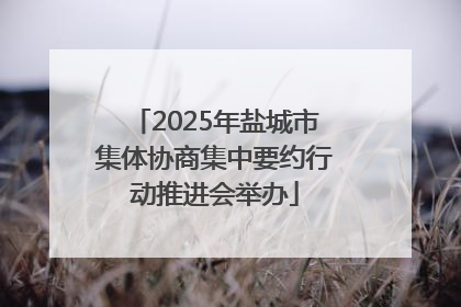 2025年盐城市集体协商集中要约行动推进会举办