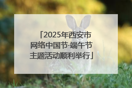 2025年西安市网络中国节·端午节主题活动顺利举行