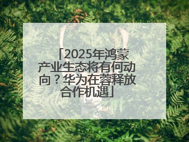 2025年鸿蒙产业生态将有何动向？华为在蓉释放合作机遇