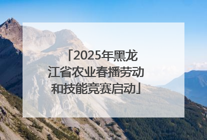 2025年黑龙江省农业春播劳动和技能竞赛启动