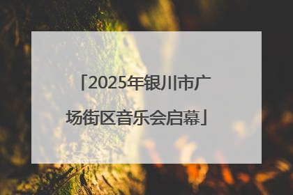 2025年银川市广场街区音乐会启幕