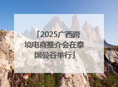 2025广西跨境电商推介会在泰国曼谷举行