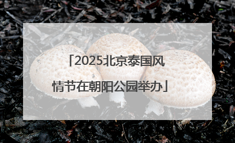 2025北京泰国风情节在朝阳公园举办