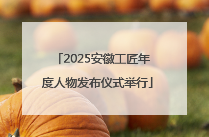 2025安徽工匠年度人物发布仪式举行