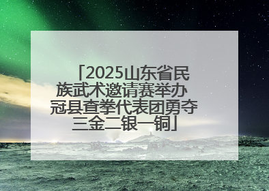 2025山东省民族武术邀请赛举办 冠县查拳代表团勇夺三金二银一铜