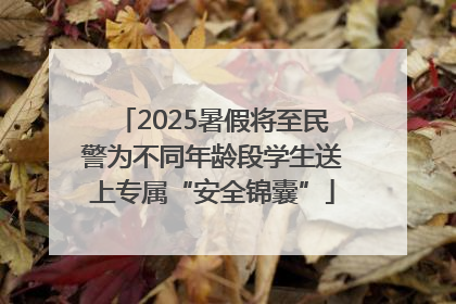 2025暑假将至民警为不同年龄段学生送上专属“安全锦囊”