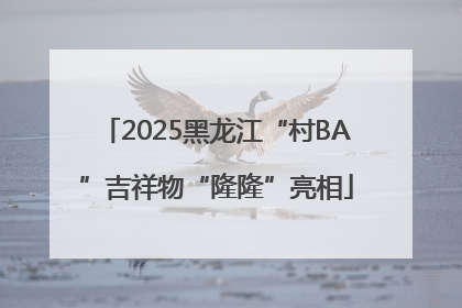 2025黑龙江“村BA”吉祥物“隆隆”亮相