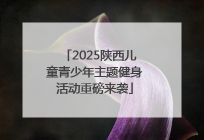 2025陕西儿童青少年主题健身活动重磅来袭
