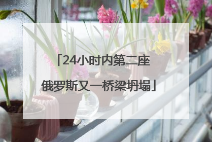 24小时内第二座 俄罗斯又一桥梁坍塌