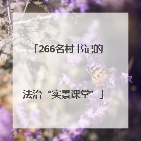 266名村书记的法治“实景课堂”