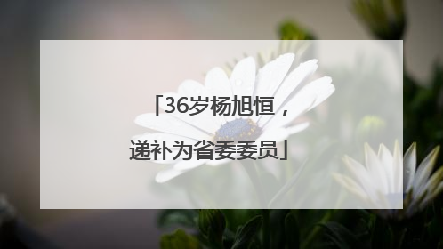 36岁杨旭恒，递补为省委委员
