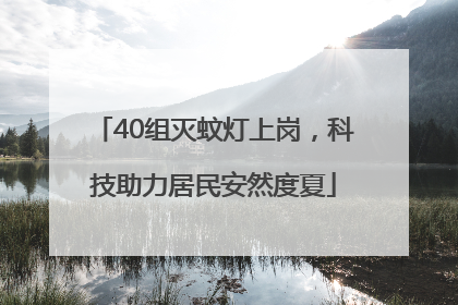 40组灭蚊灯上岗，科技助力居民安然度夏