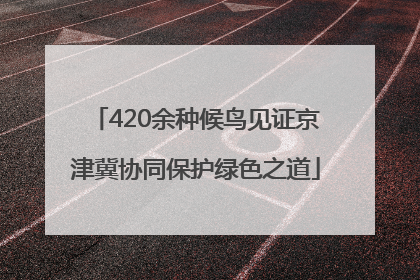 420余种候鸟见证京津冀协同保护绿色之道
