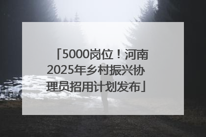 5000岗位！河南2025年乡村振兴协理员招用计划发布