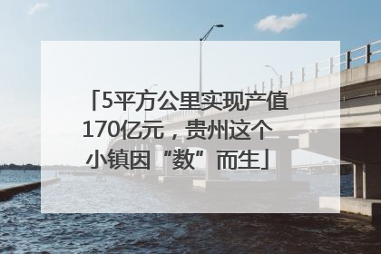 5平方公里实现产值170亿元，贵州这个小镇因“数”而生