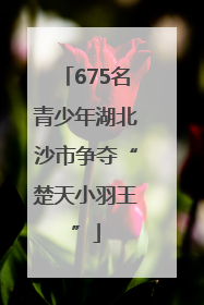 675名青少年湖北沙市争夺“楚天小羽王”