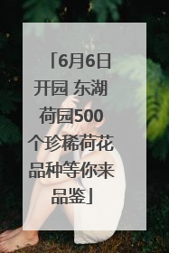 6月6日开园 东湖荷园500个珍稀荷花品种等你来品鉴