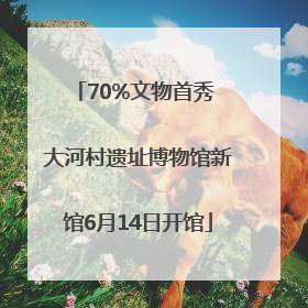 70%文物首秀 大河村遗址博物馆新馆6月14日开馆