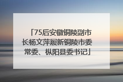 75后安徽铜陵副市长杨文萍履新铜陵市委常委、枞阳县委书记