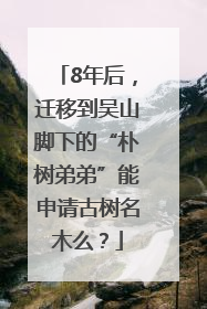 8年后，迁移到吴山脚下的“朴树弟弟”能申请古树名木么？