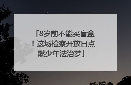 8岁前不能买盲盒！这场检察开放日点燃少年法治梦