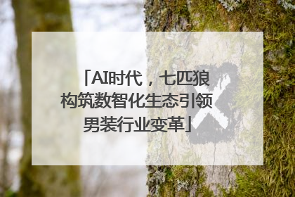 AI时代，七匹狼构筑数智化生态引领男装行业变革