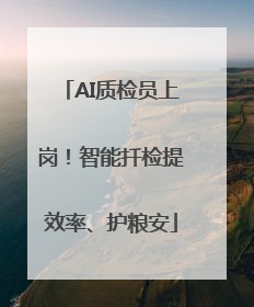 AI质检员上岗！智能扦检提效率、护粮安