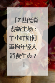 Z世代消费新主场：羊小咩如何重构年轻人消费生态？
