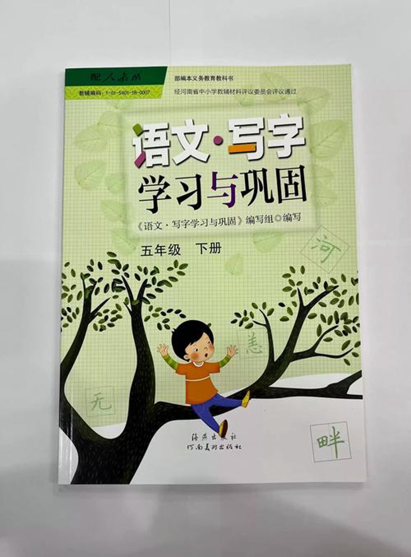 功夫语文：融入汉字海洋的乐趣与挑战