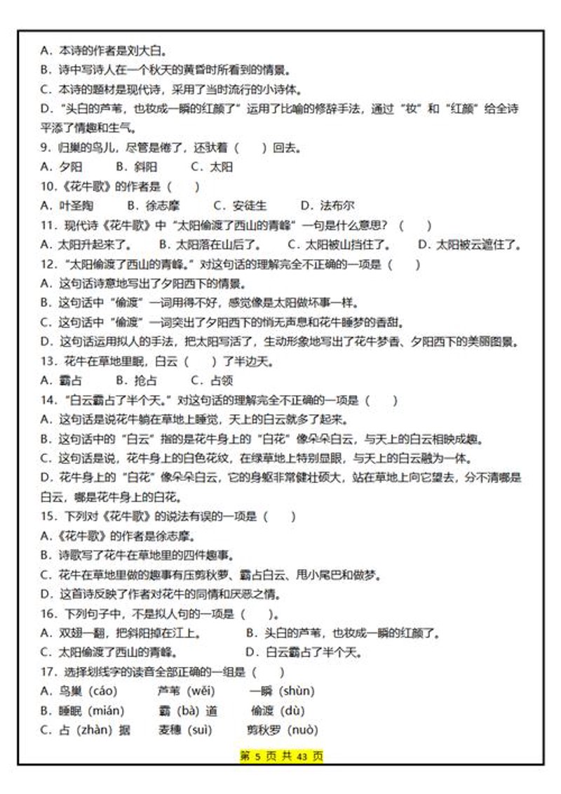 功夫语文：融入汉字海洋的乐趣与挑战